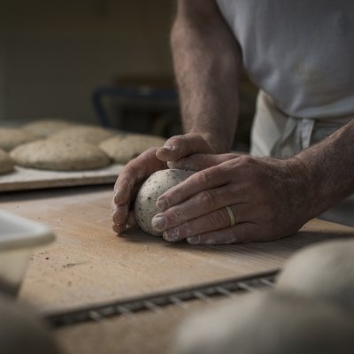 Un boulanger au fournil, préparant des pains rond bio Canevet