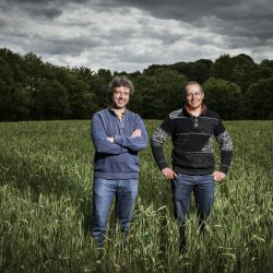Yves Canevet et un agriculteur dans un champ de céréales bio Breton